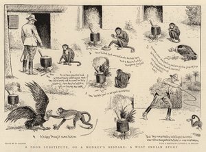 A Poor Substitute, or a Monkey
